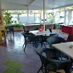 Pardo