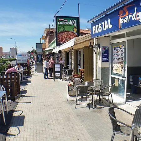 Pardo