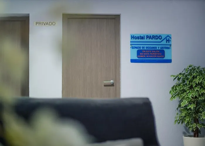 Pardo Miami Playa