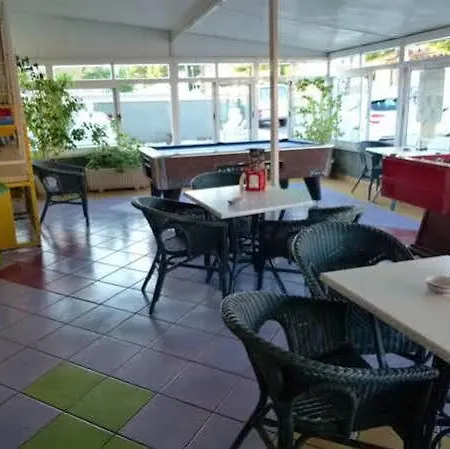 Pardo